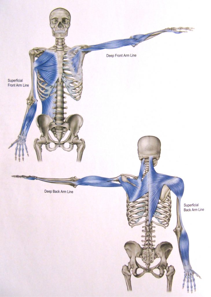 shoulder flexibility