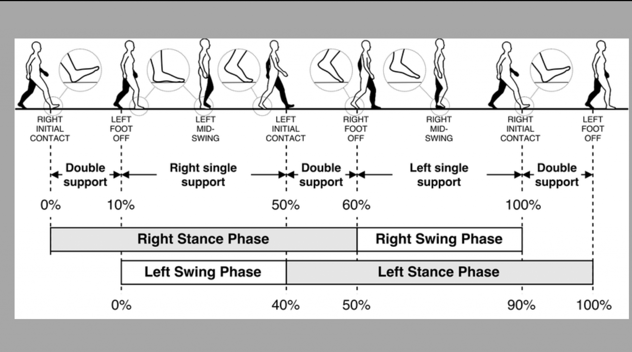 The Most Essential Types Of Core Training Ultimate Sandbag Training