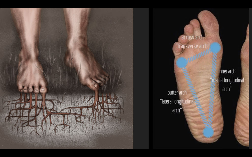 How Strong Feet Will Make You Stronger & More Resilient