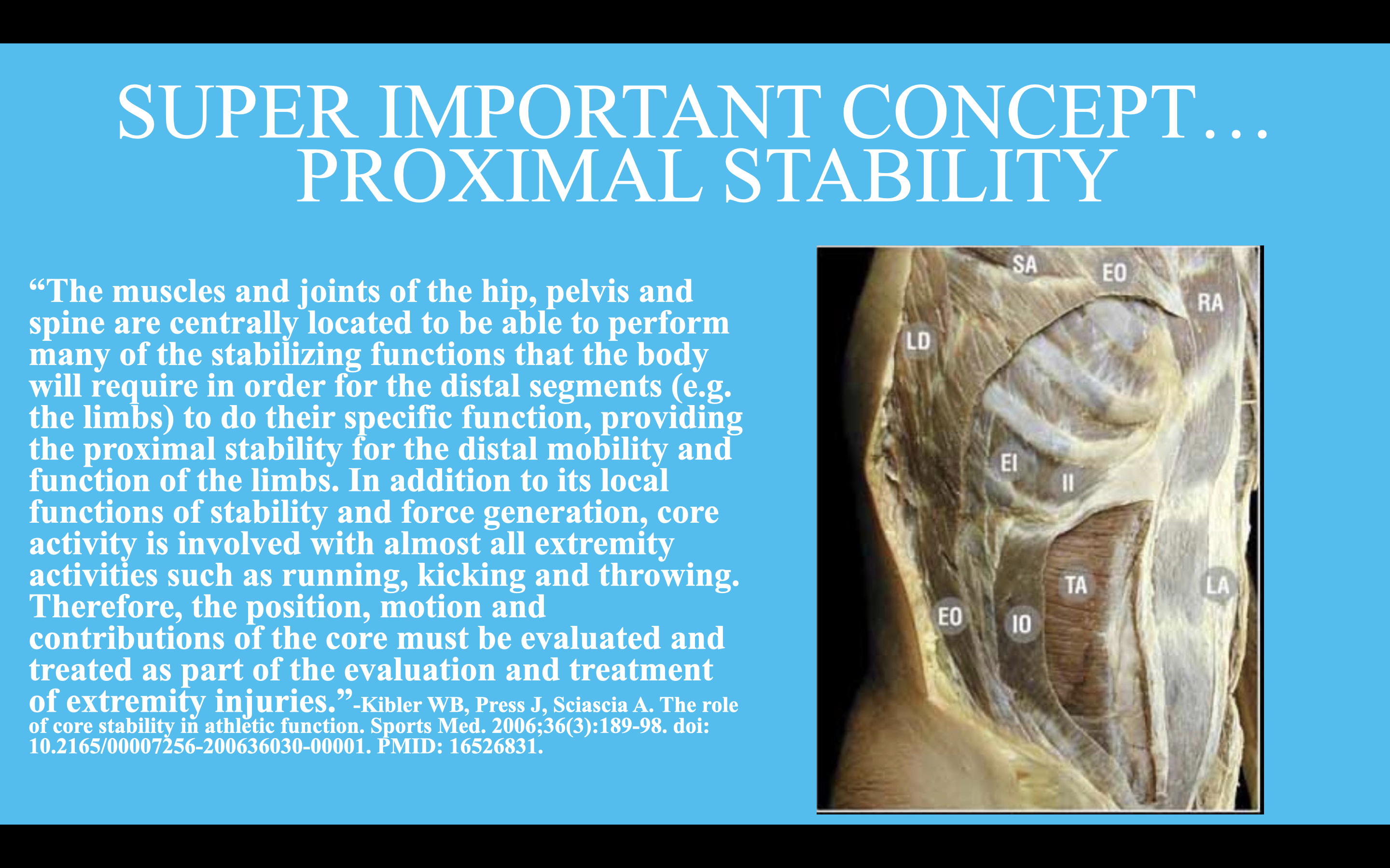 proximal stability