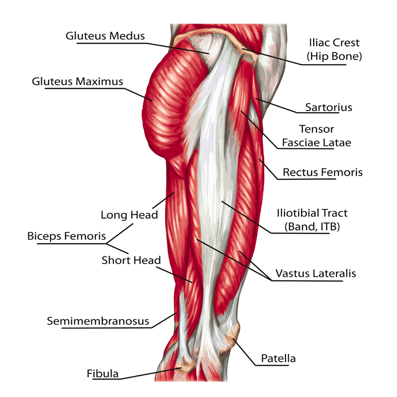 glute training