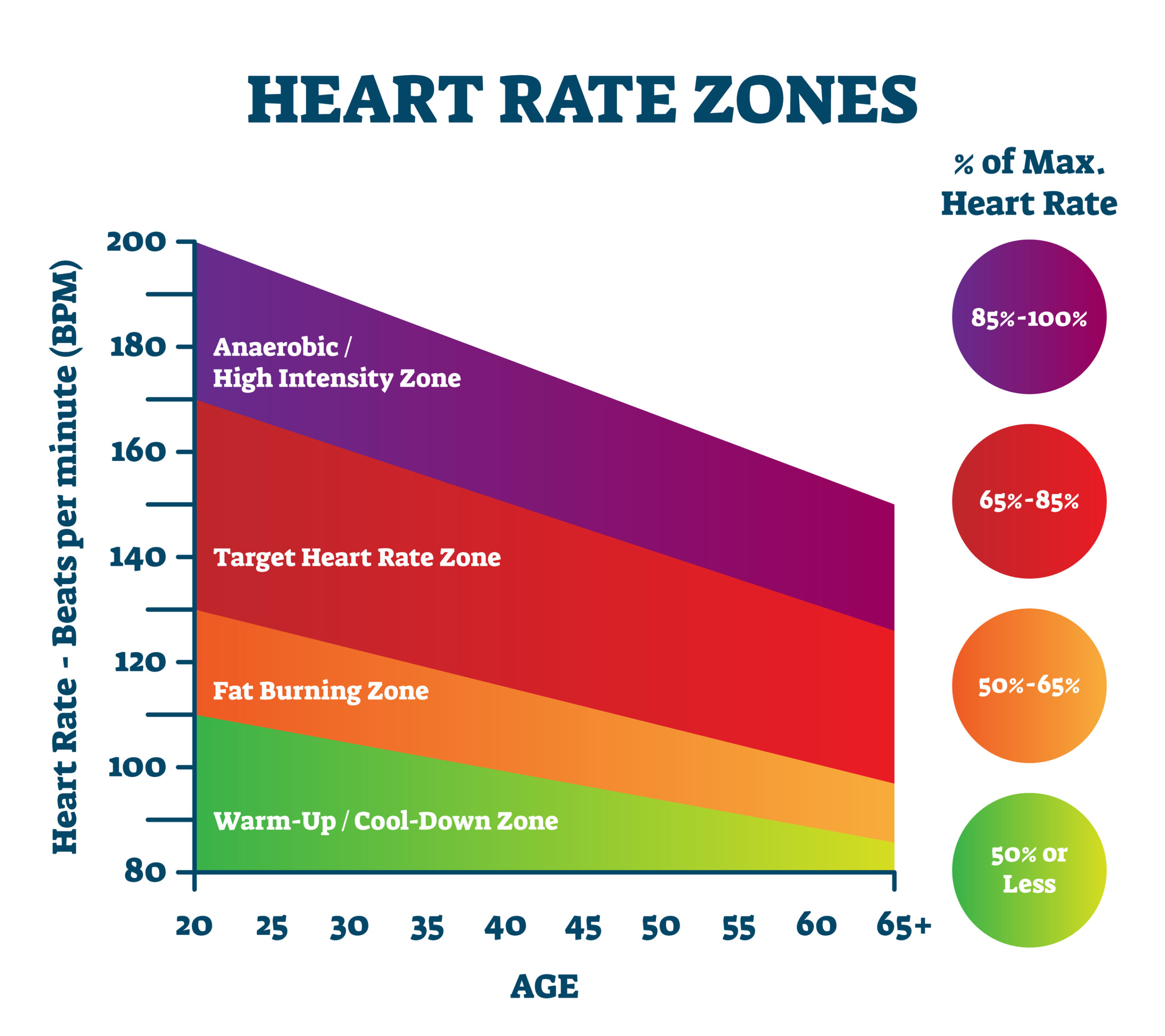fat burning zone