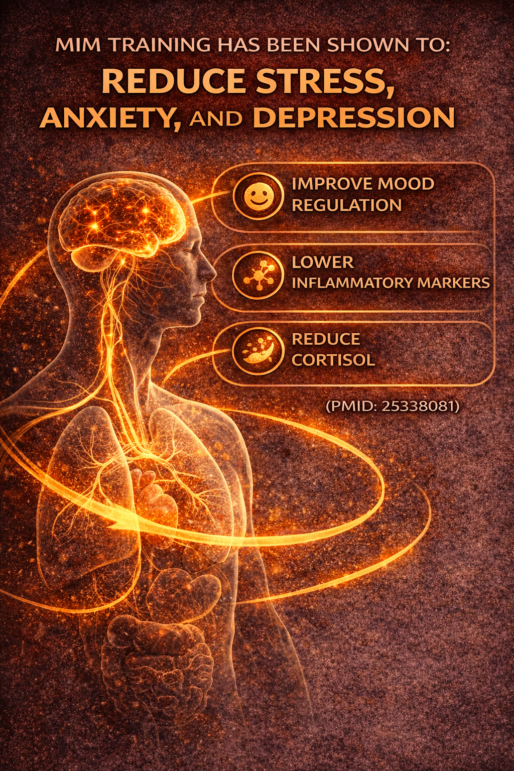 cardiovascular fitness