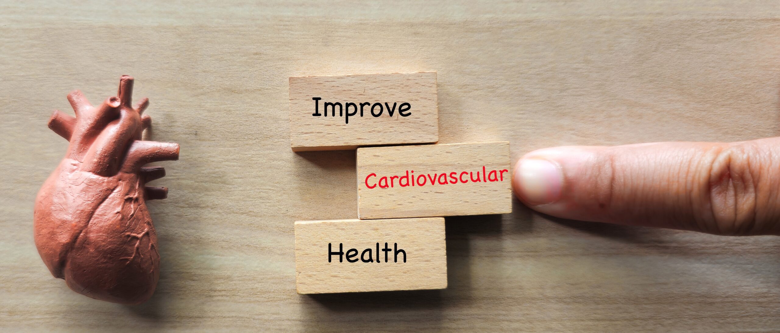 cardiovascular fitness