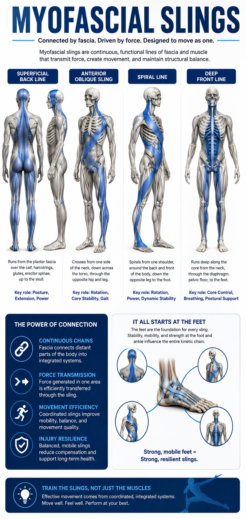 myofascial slings